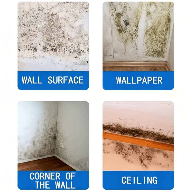 Black Spot Mold Remover Spray  - Home Kitchen Bathroom Cleaning reseña y precio